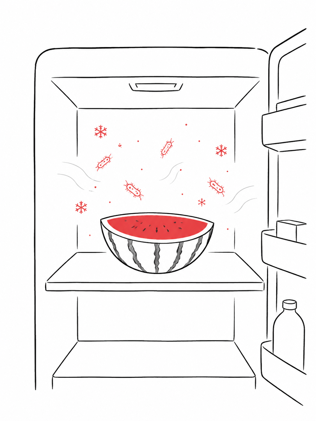 文章插图 1